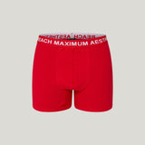 REACH MAXIMUM AESTHETIC Boxershorts